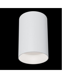 Накладной светильник Maytoni Technical C014CL-01W-foto2