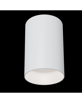 Накладной светильник Maytoni Technical C014CL-01W-foto2