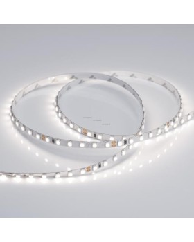 Лента Arlight 015648(B)-foto2