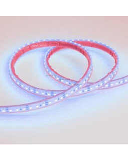 Лента Arlight 013392-foto2