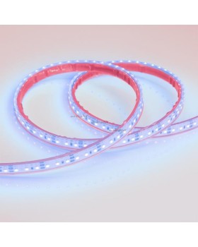 Лента Arlight 013392-foto2