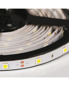 Лента Arlight 010594(B)-foto2