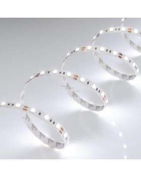 Лента Arlight 012339(B)-foto2