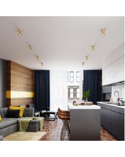 Влагозащищенный светильник Odeon Light 4226/1C-foto3