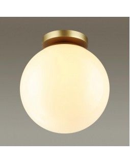 Накладной светильник Odeon Light 4248/1C-foto4