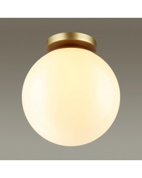 Накладной светильник Odeon Light 4248/1C-foto4