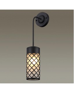 Светильник настенный Odeon Light 4834/1W-foto4