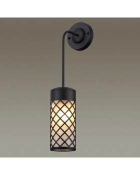 Светильник настенный Odeon Light 4834/1W-foto4