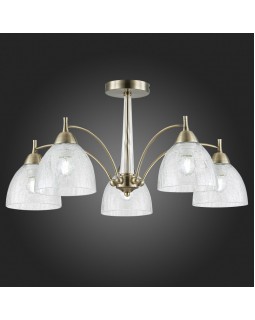 Люстра на штанге Evoluce SLE104402-05-foto2