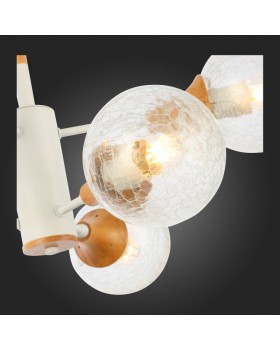 Люстра на штанге Evoluce SLE109502-06-foto4
