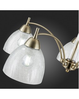 Люстра на штанге Evoluce SLE104402-05-foto4