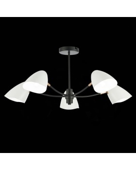 Люстра на штанге Evoluce SLE103602-05-foto5
