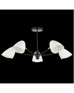 Люстра на штанге Evoluce SLE103602-05-foto6