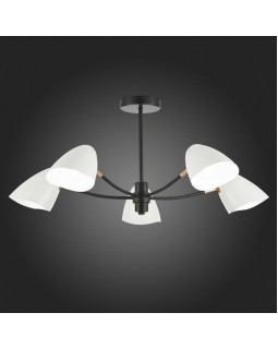 Люстра на штанге Evoluce SLE103602-05-foto9