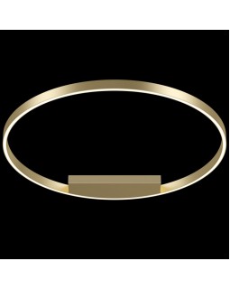 Накладной светильник Maytoni MOD058CL-L50BS4K-foto2