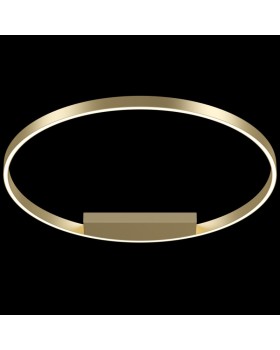 Накладной светильник Maytoni MOD058CL-L50BS4K-foto2