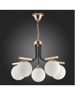 Подвесная люстра Evoluce SLE106803-05-foto3