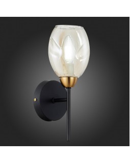 Бра Evoluce SLE155501-01-foto2