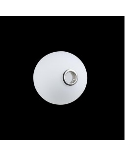 Накладной светильник LOFT IT 10008/1C white-foto4