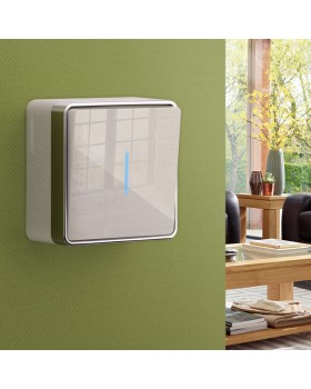 Выключатель Werkel W5010103-foto2