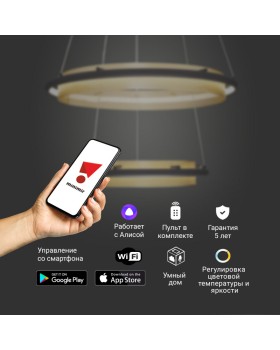 Подвесная люстра Eurosvet 90241/2 черный/ золото Smart-foto2