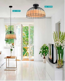 Накладной светильник EGLO 43398-foto2