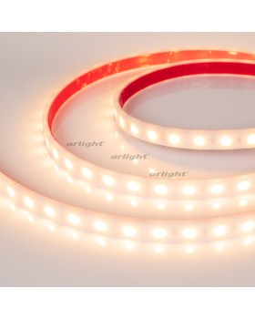Лента Arlight 016171(2)-foto3