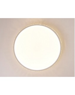 Накладной светильник Ambrella Light FF70-foto6