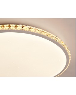 Накладной светильник Ambrella Light FF70-foto7