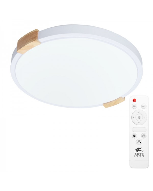 Накладной светильник ARTE Lamp A2684PL-72WH