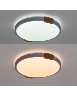 Накладной светильник ARTE Lamp A2684PL-72WH-foto3