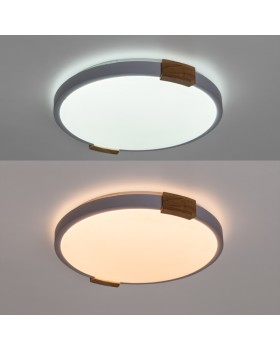 Накладной светильник ARTE Lamp A2684PL-72WH-foto3