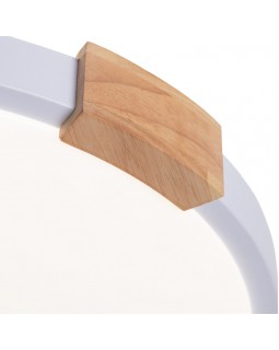 Накладной светильник ARTE Lamp A2684PL-72WH-foto4