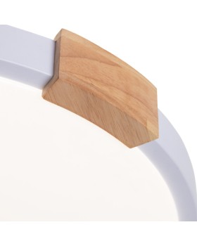 Накладной светильник ARTE Lamp A2684PL-72WH-foto4