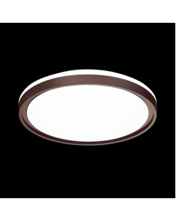 Накладной светильник Sonex 3044/DL-foto3