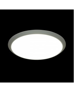 Накладной светильник Sonex 3063/50L-foto3