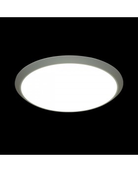Накладной светильник Sonex 3063/50L-foto3