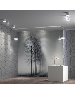 Накладной светильник Novotech 358749-foto3