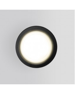 Уличный светильник Elektrostandard Light 2101 (35128/H) серый-foto2