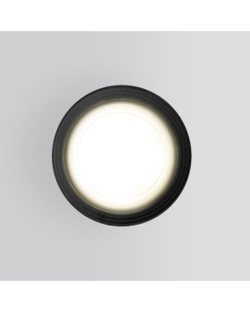 Уличный светильник Elektrostandard Light 2101 (35128/H) серый-foto2