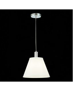 Подвесной светильник Evoluce SLE111303-01-foto3