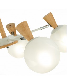 Люстра на штанге Evoluce SLE220702-05-foto3