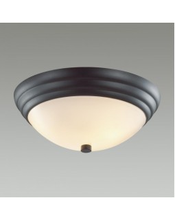 Накладной светильник LUMION 5263/2C-foto2