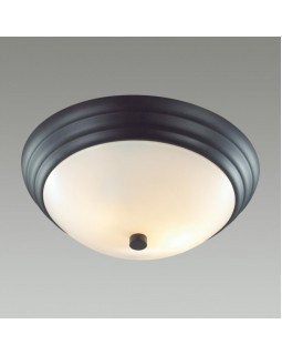 Накладной светильник LUMION 5263/2C-foto3