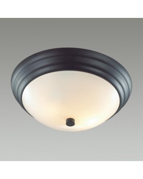 Накладной светильник LUMION 5263/2C-foto3