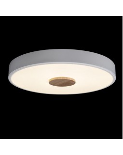 Накладной светильник LOFT IT 10003/24 White-foto2