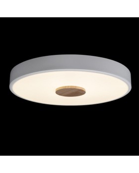 Накладной светильник LOFT IT 10003/24 White-foto2