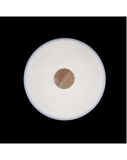 Накладной светильник LOFT IT 10003/24 White-foto4