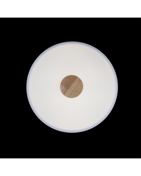 Накладной светильник LOFT IT 10003/24 White-foto4