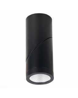 Влагозащищенный светильник ST-Luce ST650.432.10-foto4